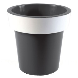 Vaso tulipano ⌀20
